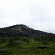 Sightseeing Munnar
